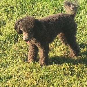 Meet your Posher, Lori